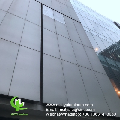 revêtu de poudre Panneau non standard perforé en aluminium métallique utilisé pour l'extérieur du bâtiment
